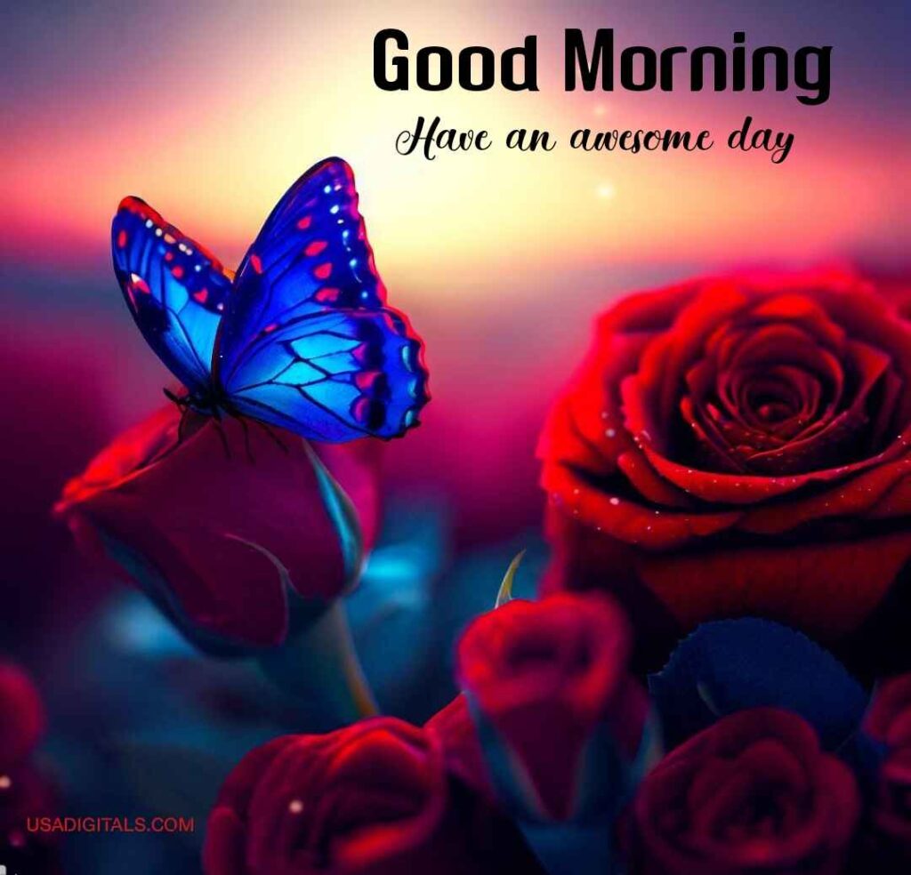 Blue butterfly on red spots sit on red roses sunrise with good Morning Wish text