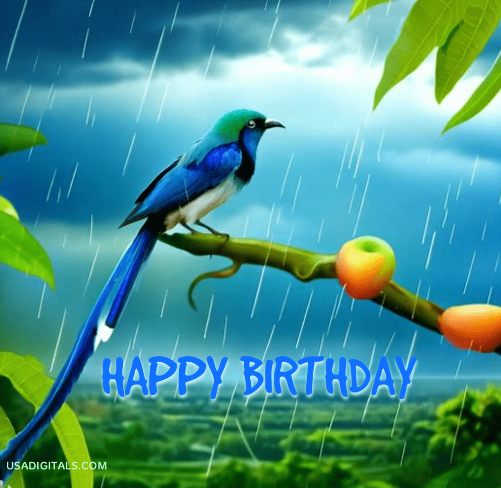 Birthday wishes, Happy Birthday Wishes cards Sparrows, birds 